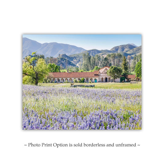 Lompoc Mission Art - San Antonio de Padua California Wildflowers