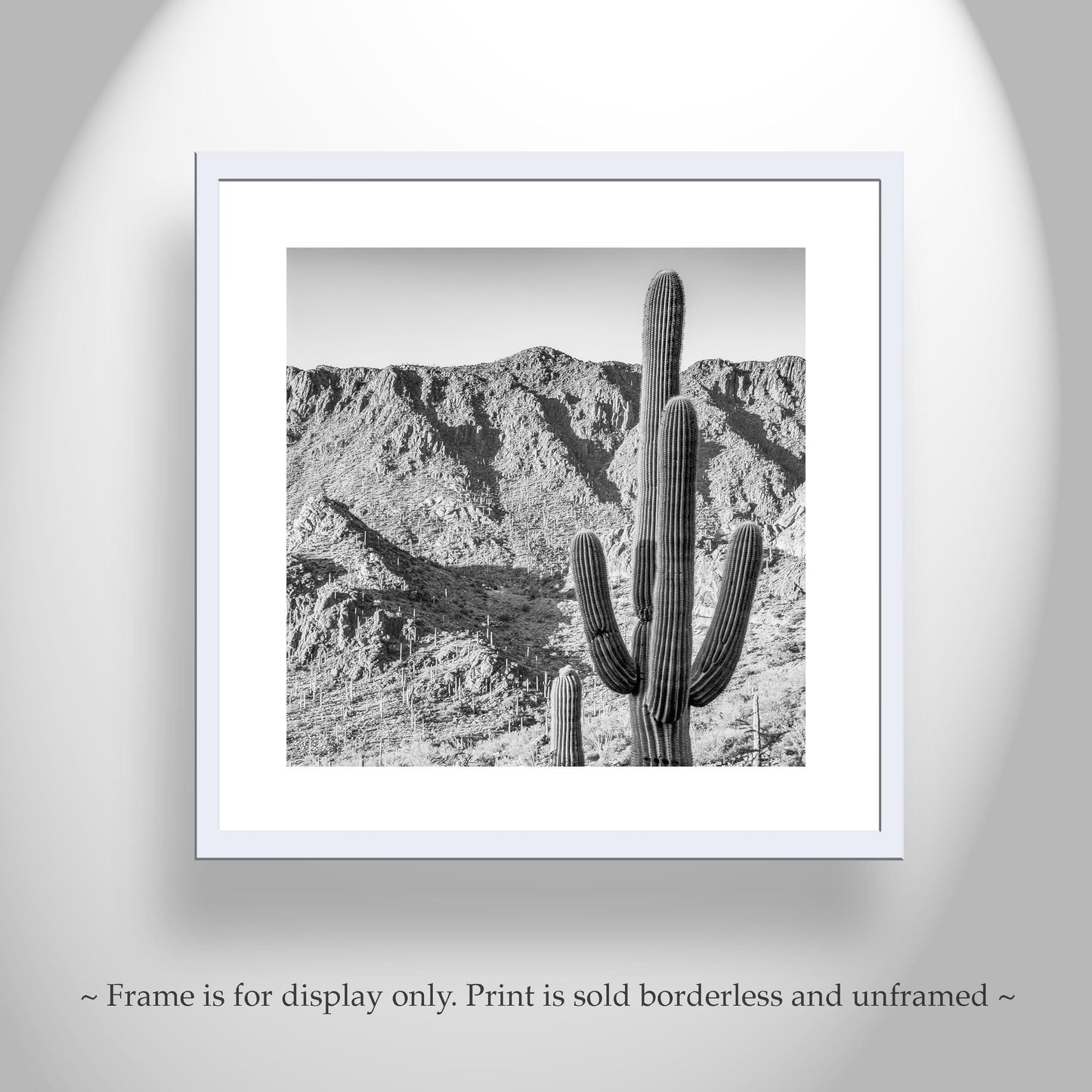 Square Black and White Desert Landscape Cactus Wall Decor