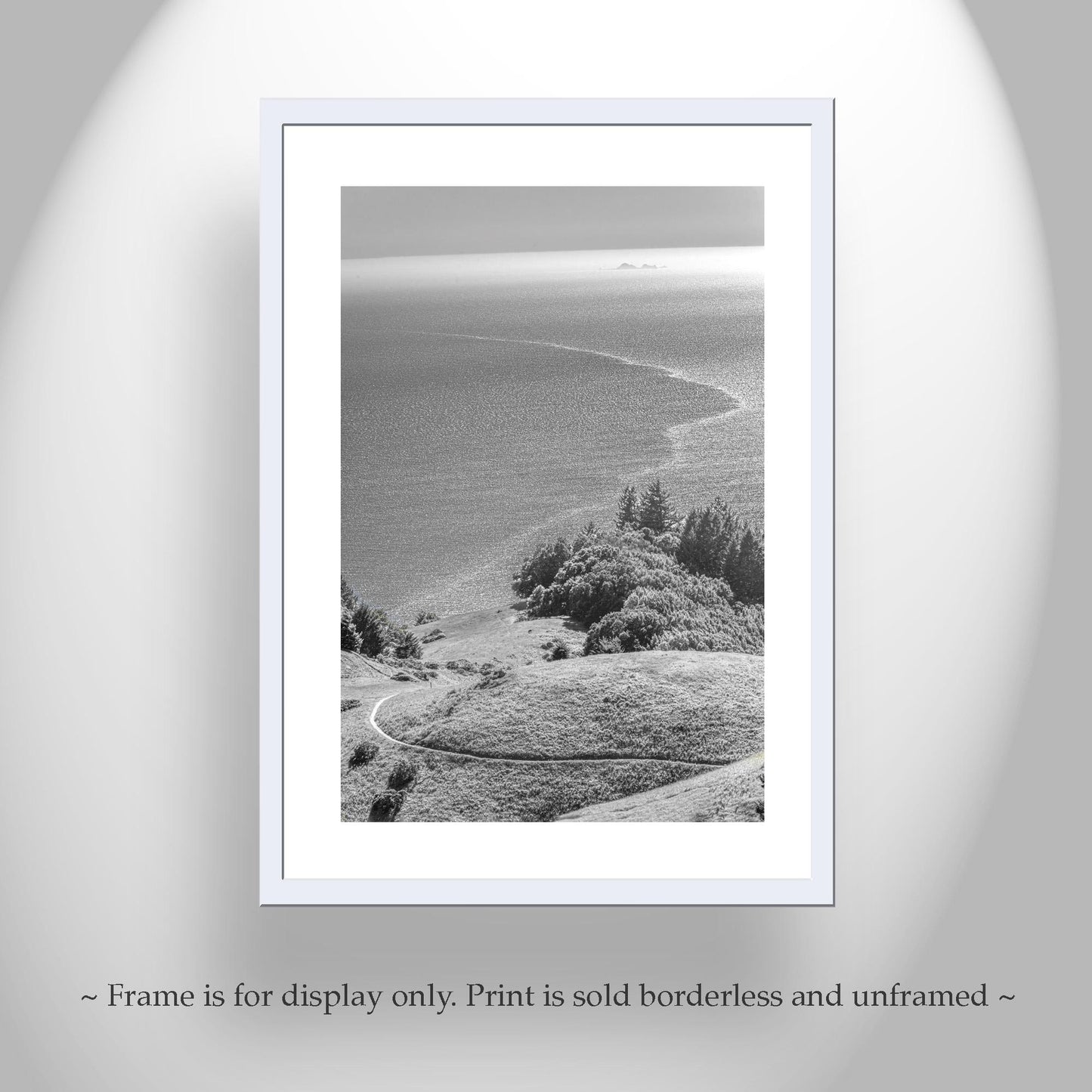 Mount Tamalpais Black and White Vertical Art Print