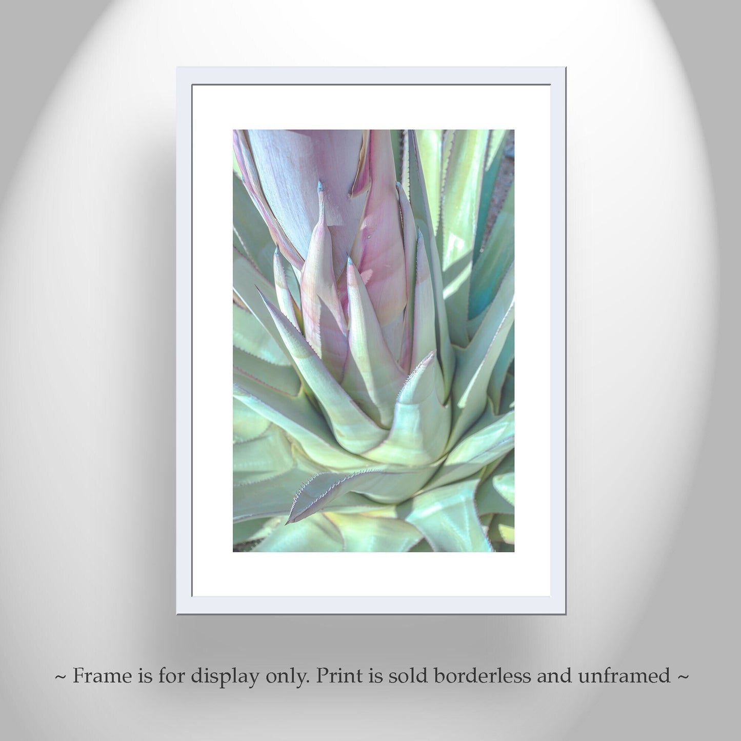 Pastel Blue Agave Botanical Wall Art Print from Tucson Desert