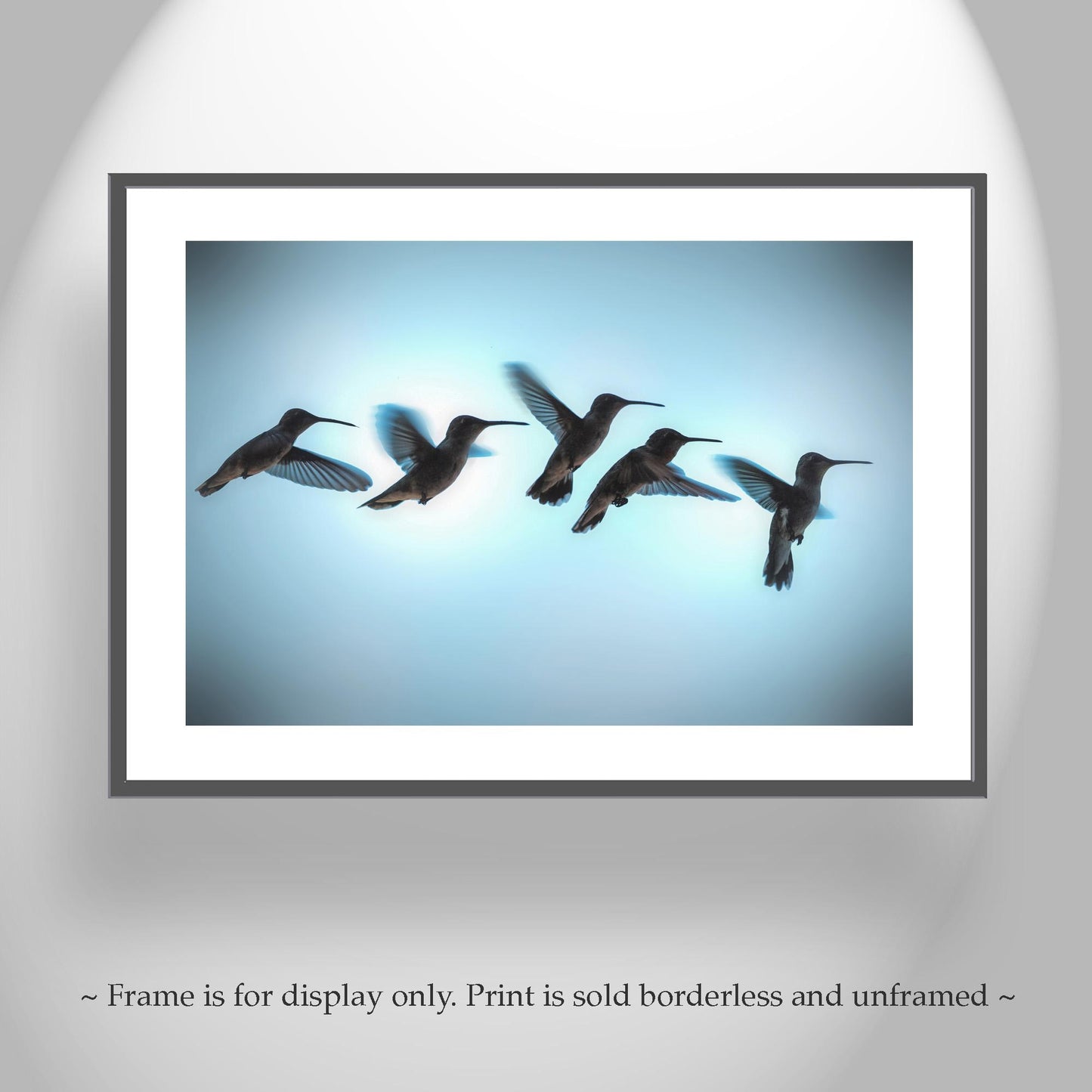Bird Wall Decor with Hummingbird in Flight | Flying Bird Art Photography Print