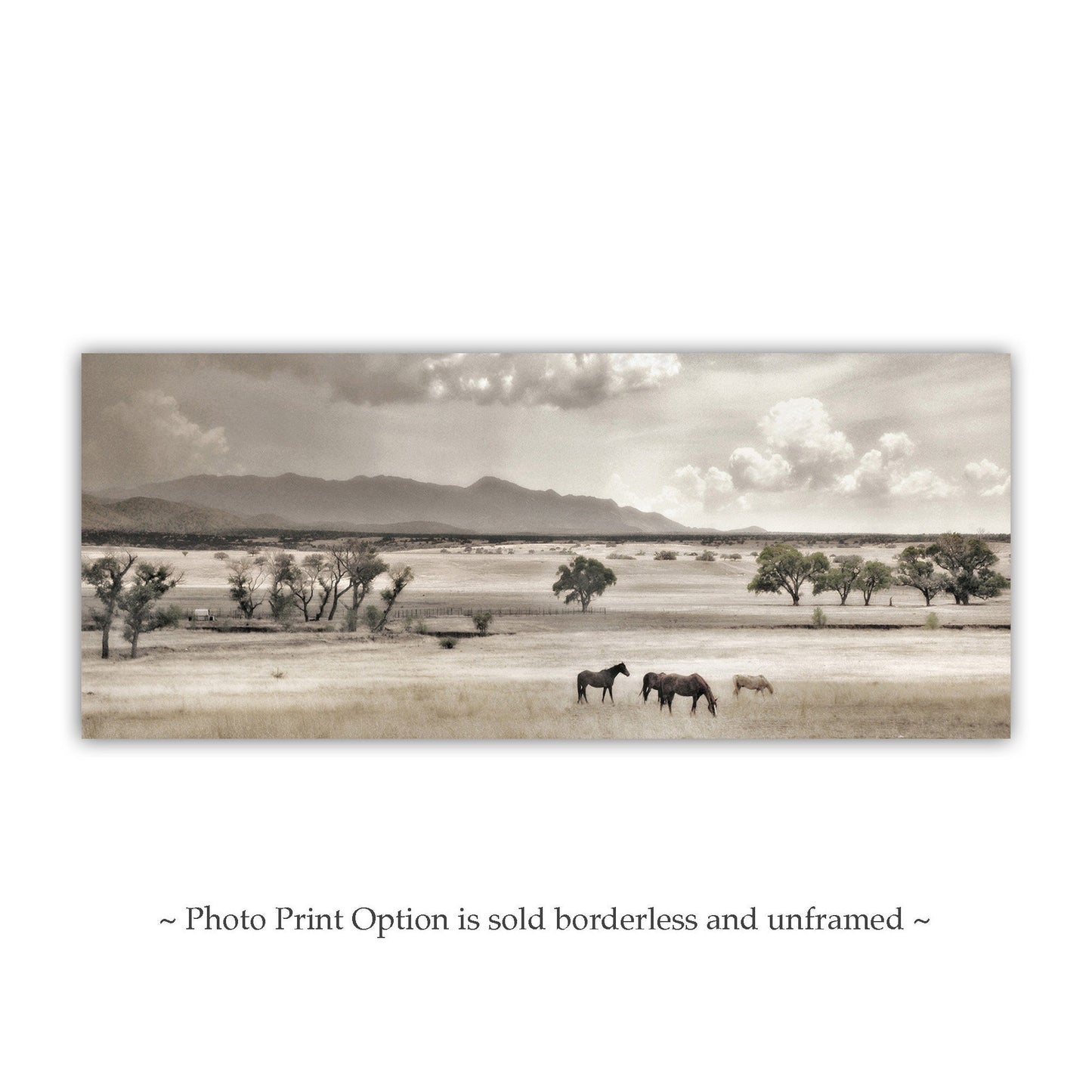 Western Horse Ranch Landscape Photography Art Print in Panorama | Tucson Nogales Mexico Border