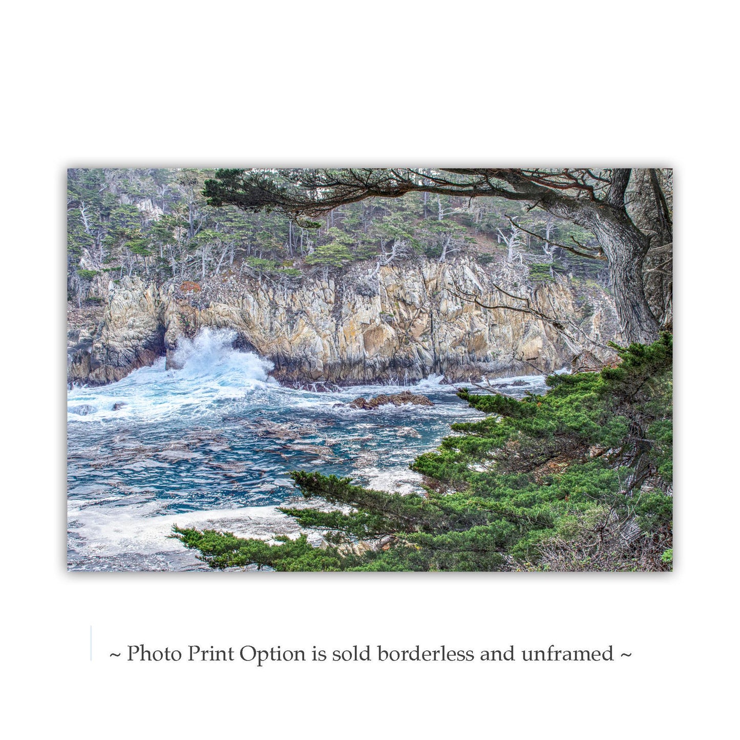 Carmel California Point Lobos Photography Wall Art Print | Big Sur