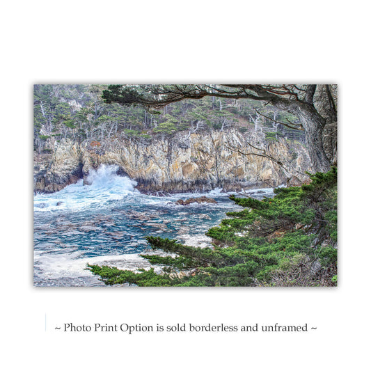 Point Lobos Big Sur Wall Art Print Carmel California Coast Photo