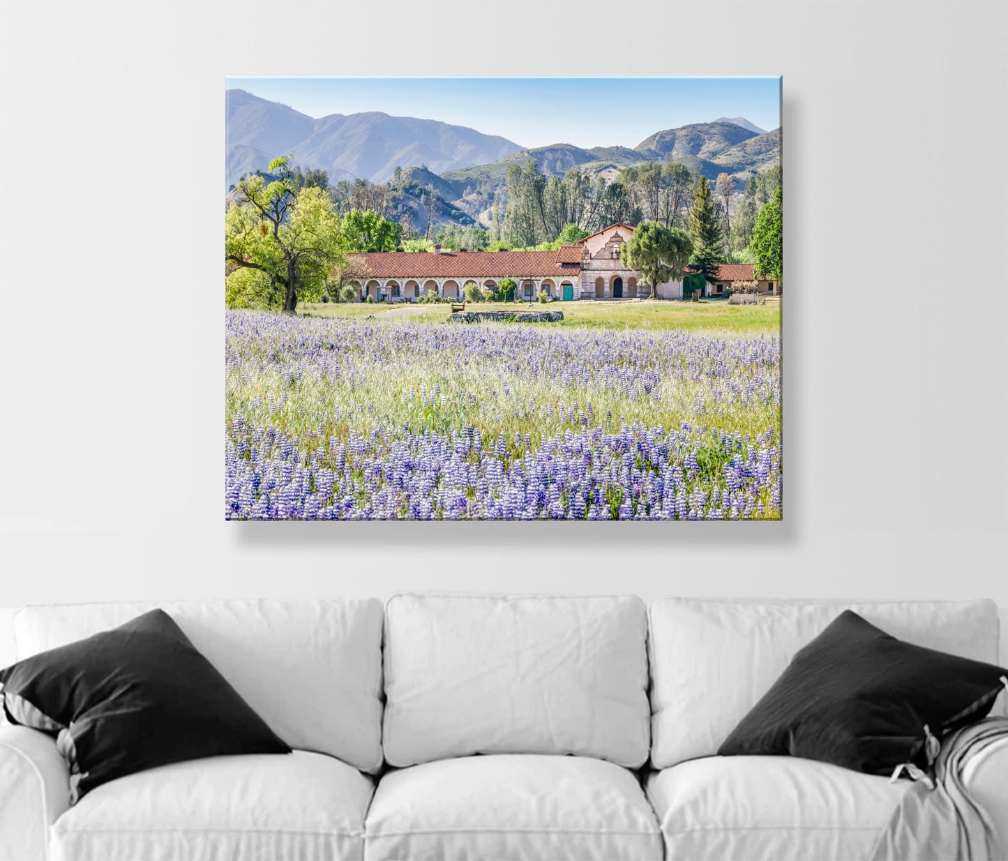Lompoc Art at Mission San Antonio de Padua | Spring California Wildflowers