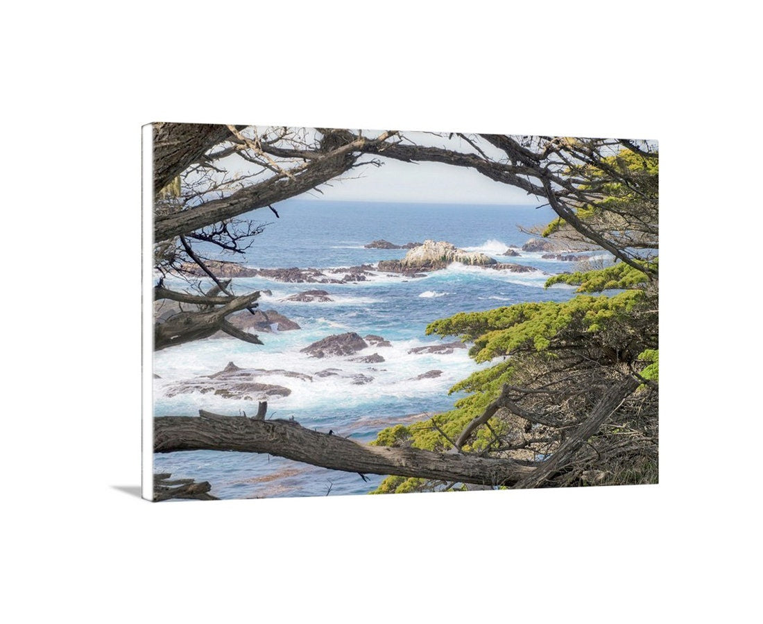 Carmel by the Sea Art Print | Point Lobos with Monterey Cypress Trees