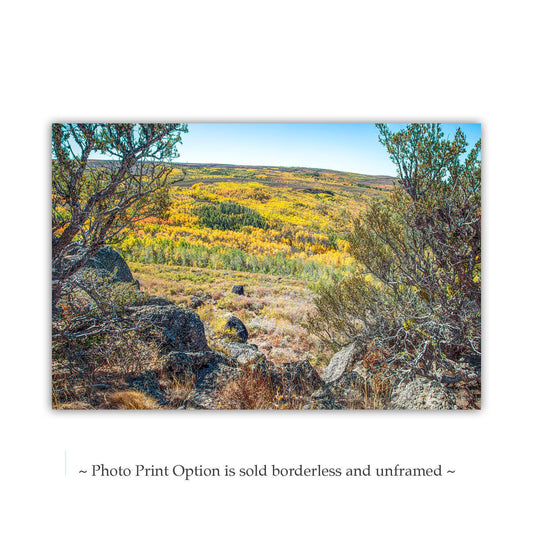 Steens Mountain Art | Eastern Oregon Aspen Trees Autumn Photo