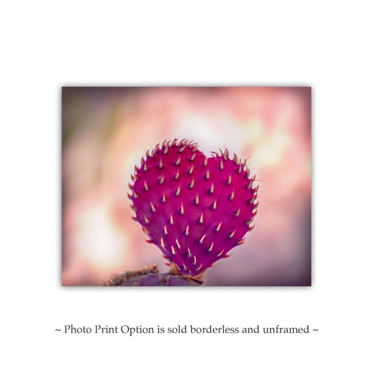 Purple Santa Rita Cactus Heart Art | Romantic Tucson Desert Print