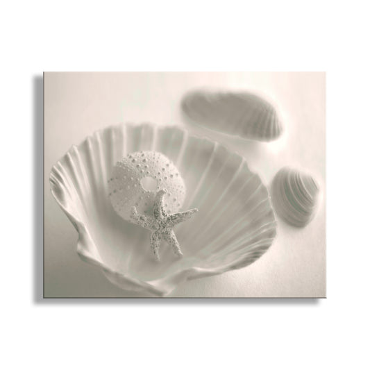 Sea Urchin Seashell Photo as Bathroom Wall Art in Ivory Color