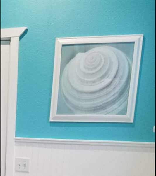 Soft Blue Seashell Photograph as Wall Decor for Bathroom or Home