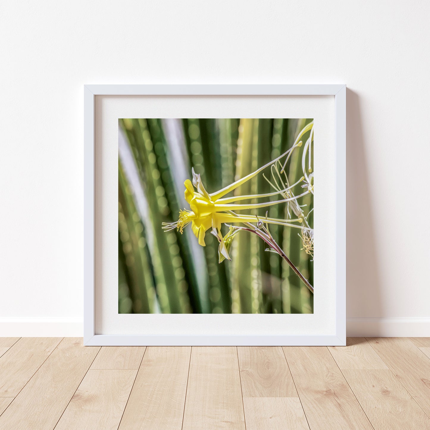 Green Agave Nature Photo Art with Yellow Columbine Wildflower