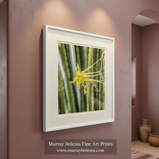 Yellow flower with green cactus in the background. Green Agave Nature Photography with Yellow Columbine Wildflower by Murray Bolesta