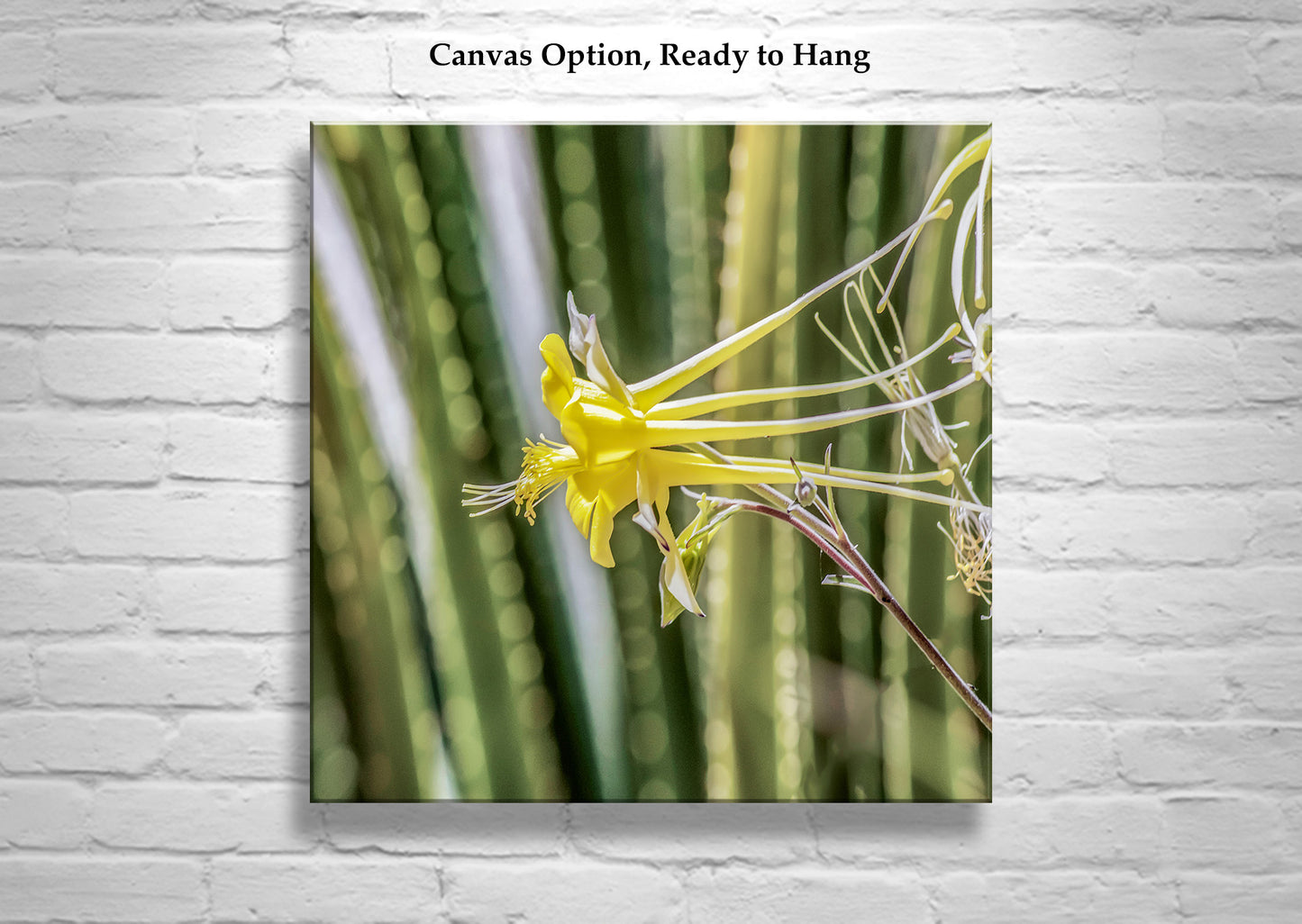 Green Agave Nature Photo Art with Yellow Columbine Wildflower