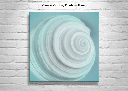 Soft Blue Seashell Photograph as Wall Decor for Bathroom or Home