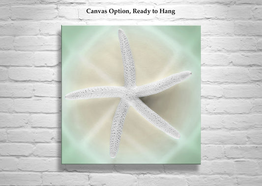 Seashell Art in Mint Green | Starfish Bathroom Wall Decor