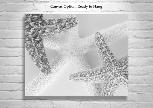 Starfish Art in Black & White | Unique Wall Decor for Bath & Home