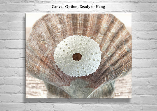 Surreal Seashell Art Print | Ocean Coastal Decor by Murray Bolesta