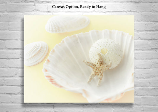 Wall Art with Seashells in Pale Yellow as Decor for Bath or Home | Still Life