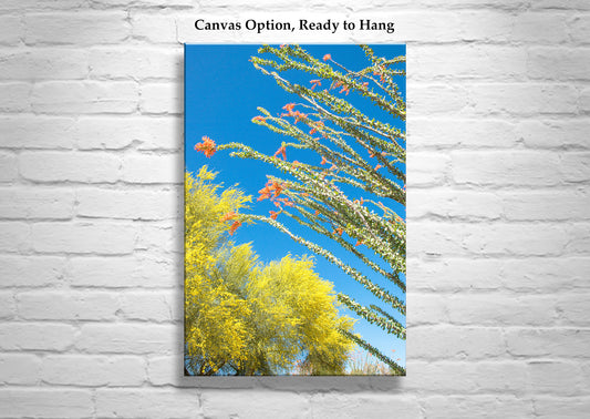 Arizona Desert Flower Art with Ocotillo & Palo Verde Tree