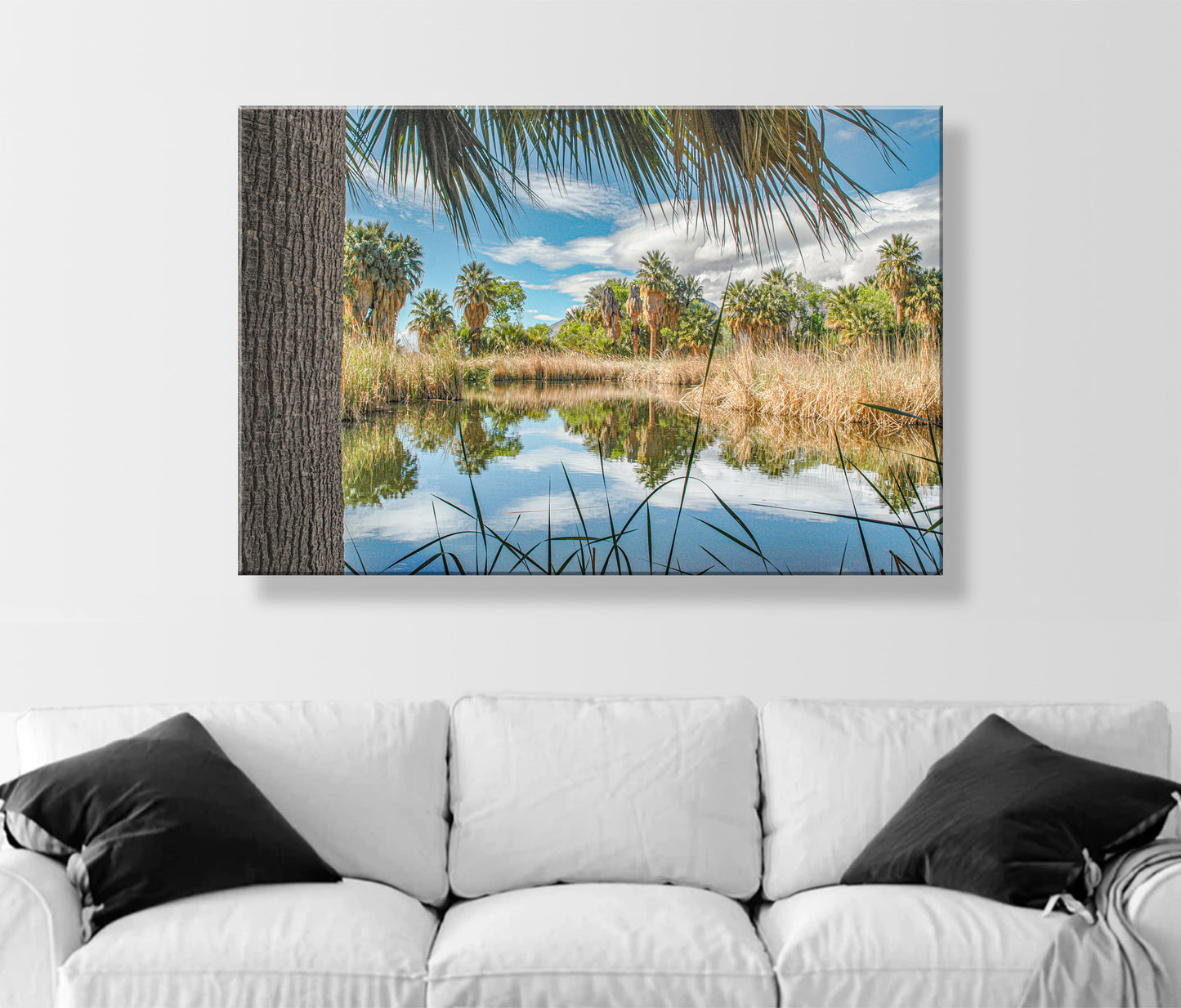 Desert Oasis at Agua Caliente Park Tucson Arizona Wall Decor