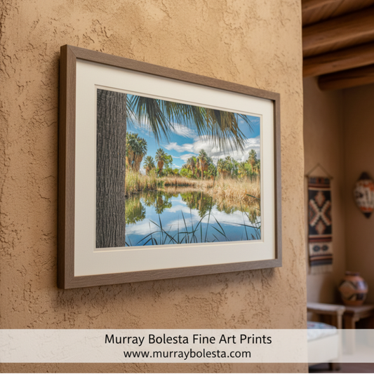 Desert Oasis at Agua Caliente Park Tucson Arizona Wall Decor