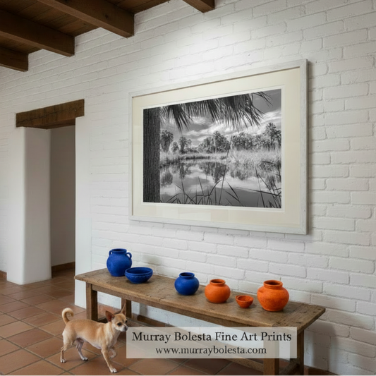Desert Oasis Art for Sale at Agua Caliente Park Tucson in Black & White