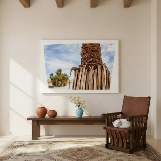 Canvas print of a desert scene with a palm tree against a blue sky. Anza-Borrego by Murray Bolesta