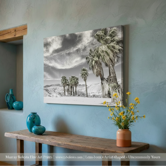 Anza Borrego Desert Palm Trees Sepia Landscape Photography Print
