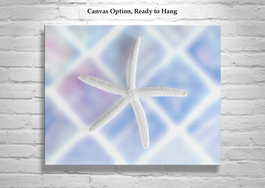 Pastel Blue Sea Shell Sea Star Art for Bath or Home