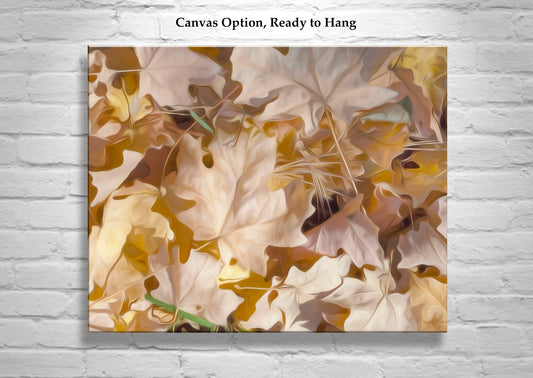 Autumn Maple Leaf Nature Wall Decor | Tucson Arizona Catalina Mountains
