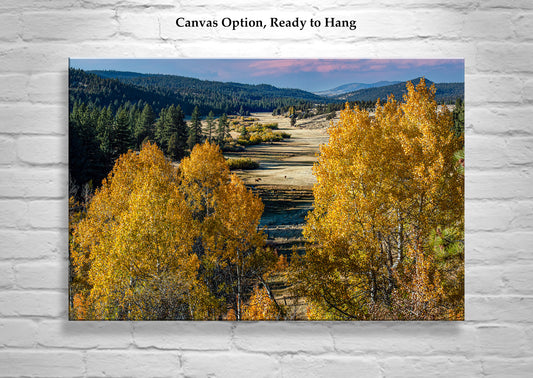 Quaking Aspen Autumn Forest Landscape Art | Western Ranch Country NorCal