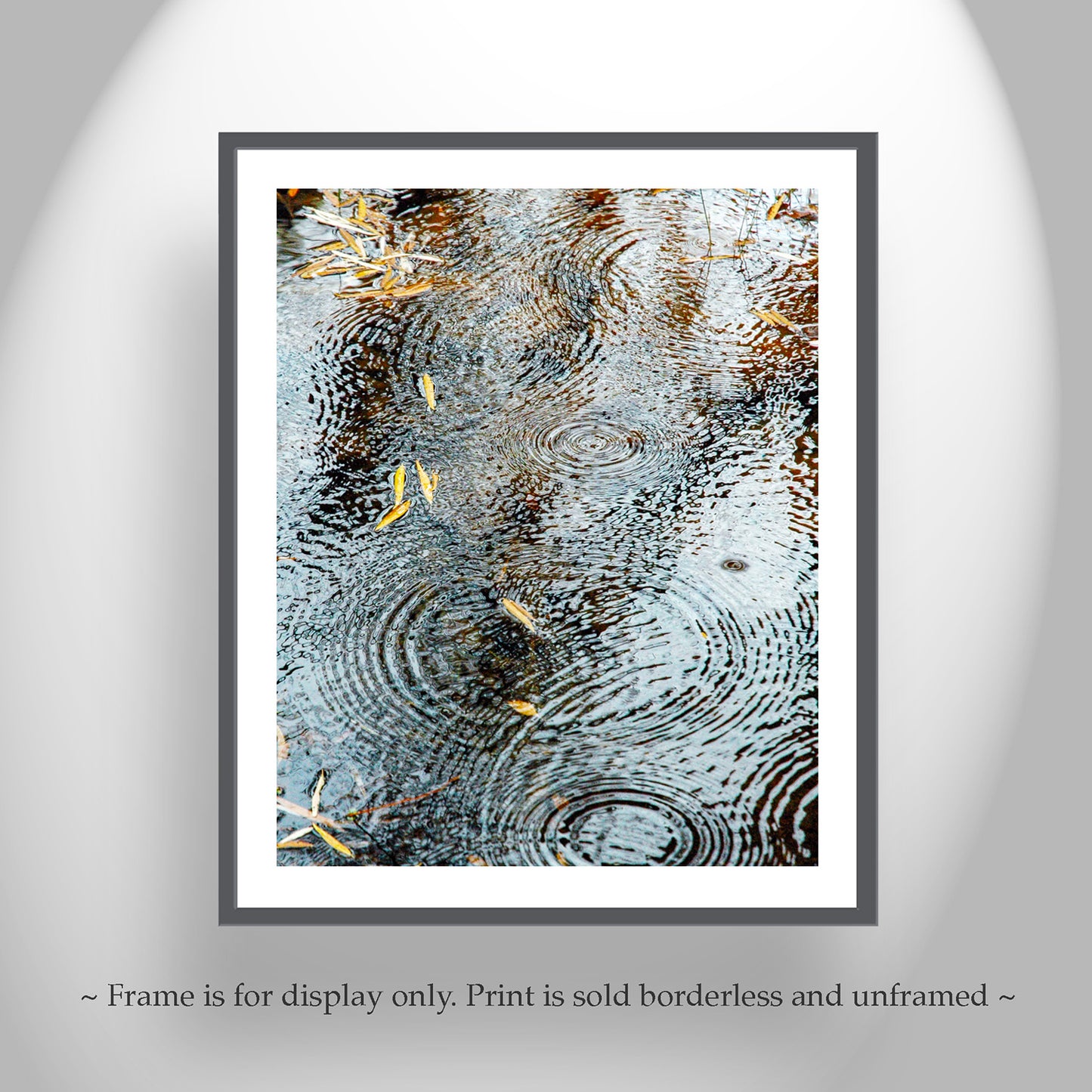 Rain Drops and Water Ripples Photograph with Autumn Leaves as Elegant Nature Wall Decor | Arizona Canyon Oasis