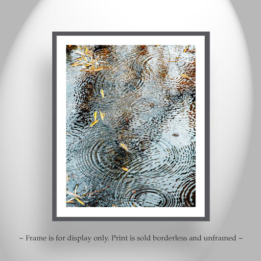 Rain Drops Water Ripples Art | Autumn Leaves Arizona Oasis