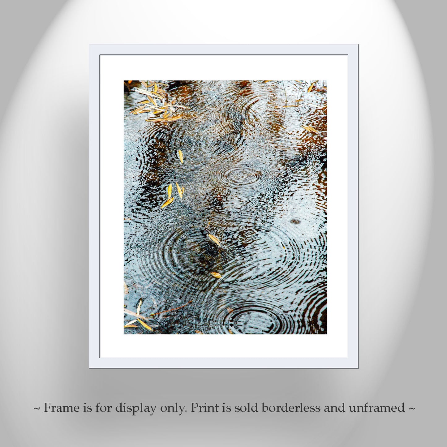 Rain Drops and Water Ripples Photograph with Autumn Leaves as Elegant Nature Wall Decor | Arizona Canyon Oasis
