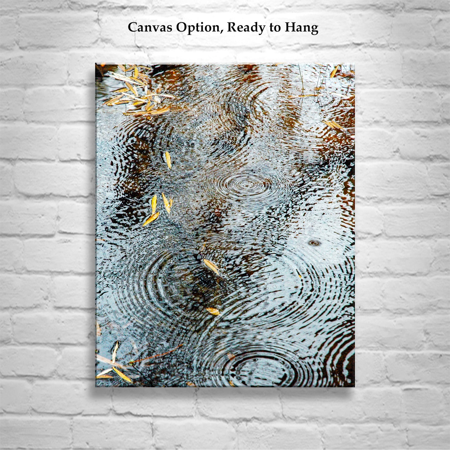 Rain Drops and Water Ripples Photograph with Autumn Leaves as Elegant Nature Wall Decor | Arizona Canyon Oasis
