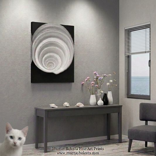 B&W seashell art by Murray Bolesta!