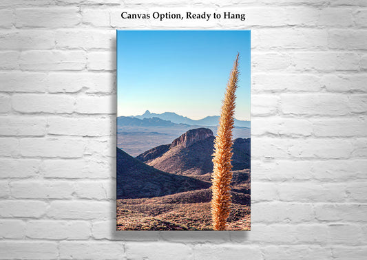 Mount Hopkins Road – Santa Rita Mountains Sotol Agave Print