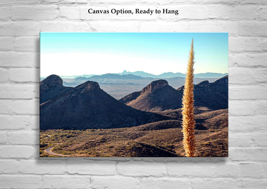 Santa Rita Mountains Arizona Landscape Art with Sotol Agave