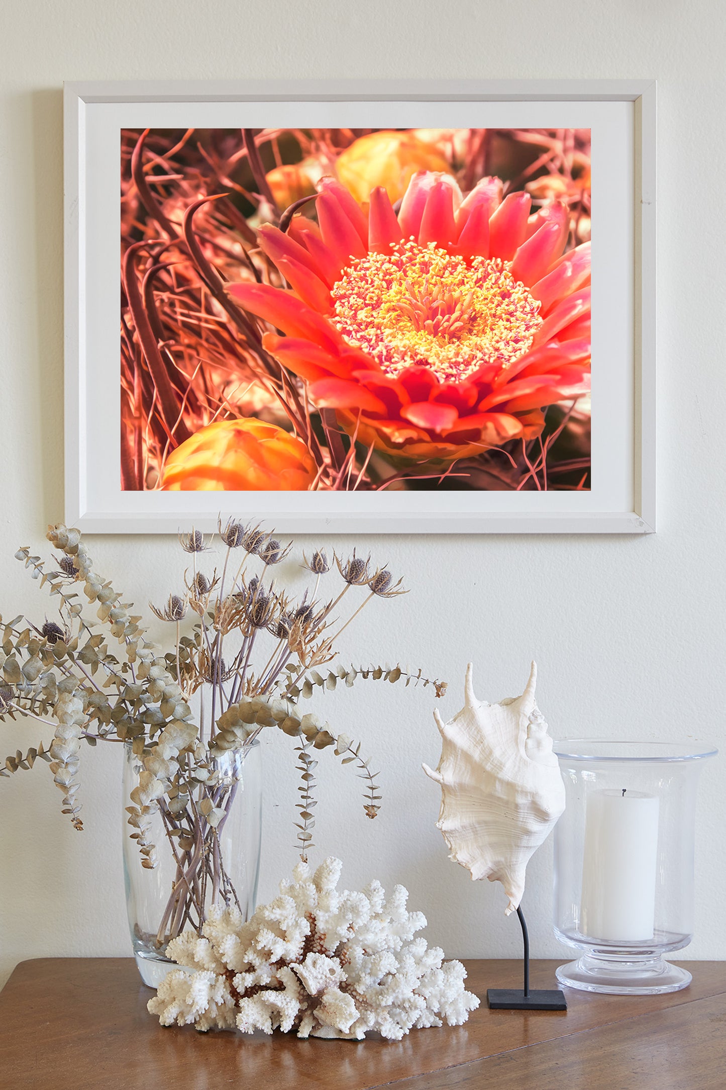 Cactus Flower Photography Wall Art with Desert Barrel Cactus