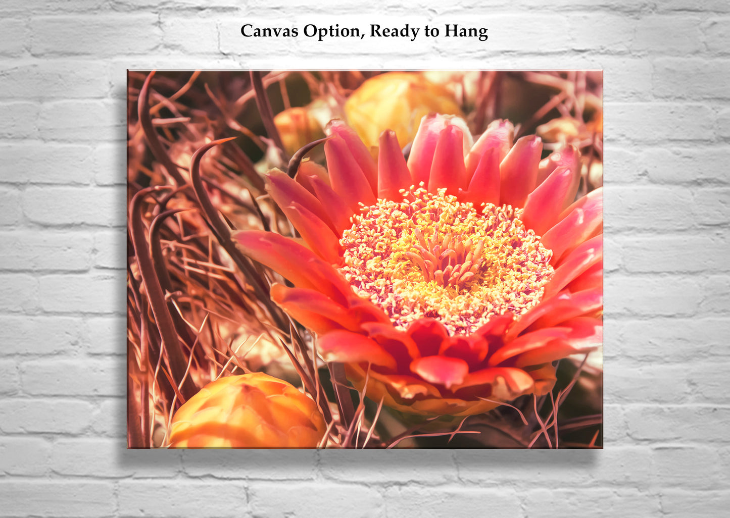 Cactus Flower Photography Wall Art with Desert Barrel Cactus