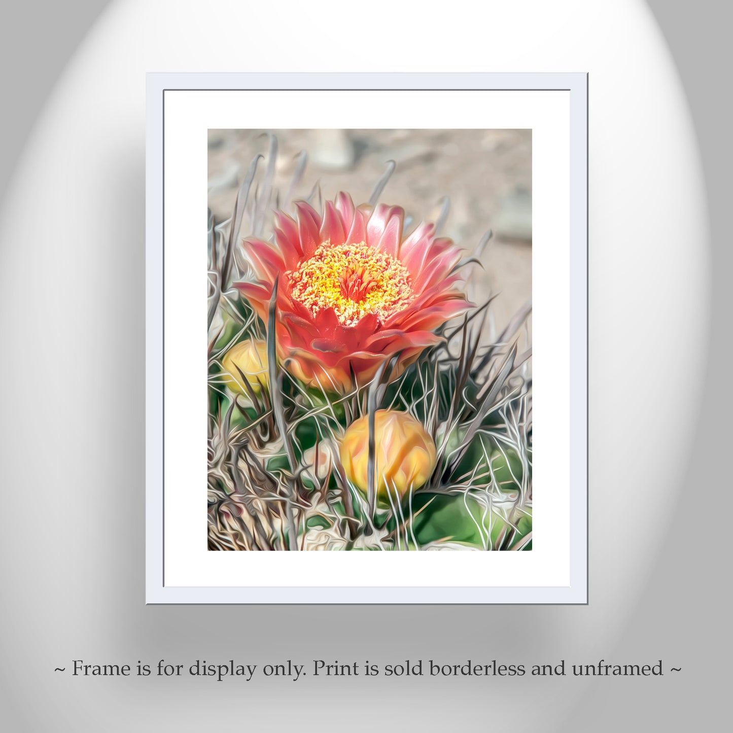 Desert Botanical Flower Art Print with Arizona Cactus Blossom
