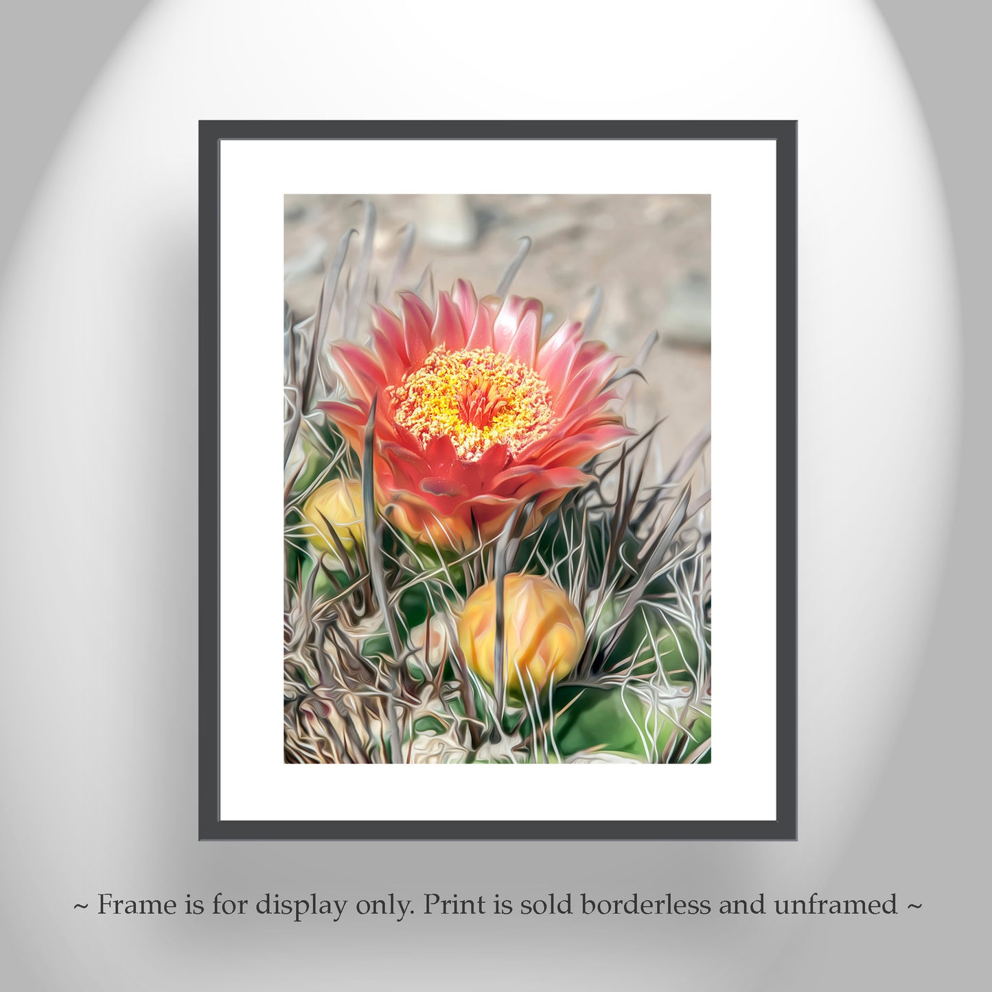 Desert Botanical Flower Art Print with Arizona Cactus Blossom