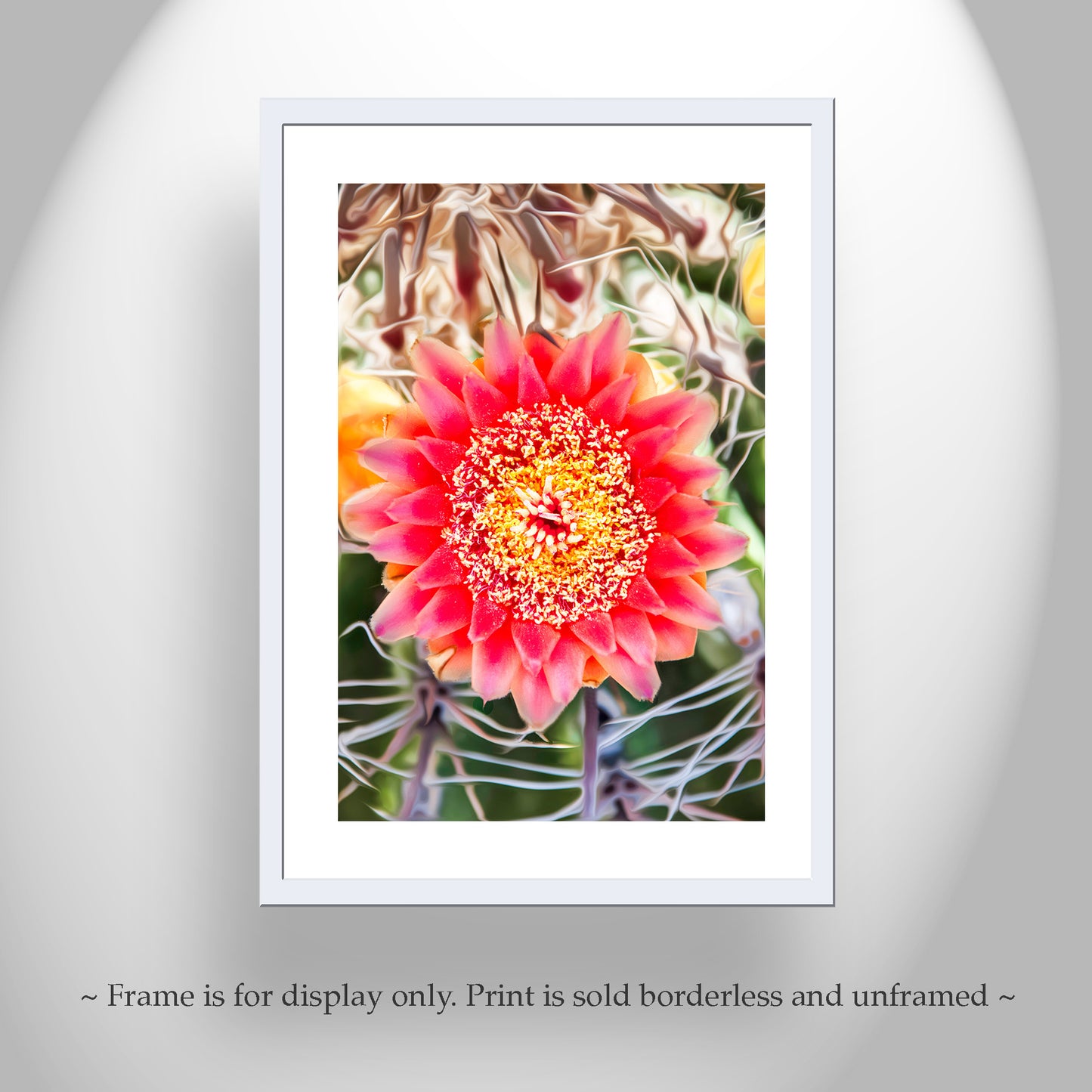 Botanical Art Print with Arizona Desert Wildflower | Barrel Cactus