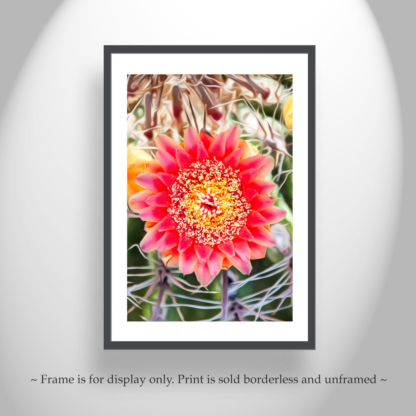 Botanical Art Print with Arizona Desert Wildflower | Barrel Cactus