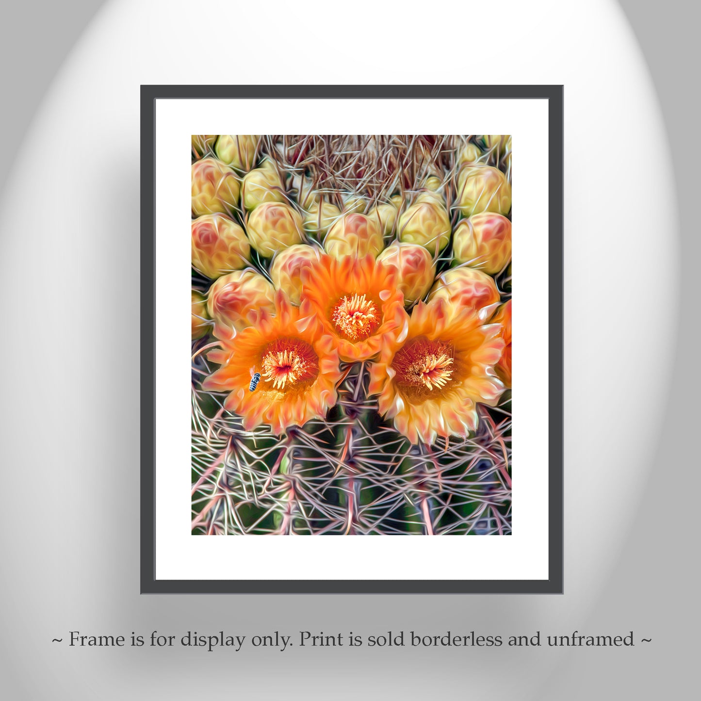 Bee and Cactus Flower Print with Desert Barrel Cactus Wildflowers
