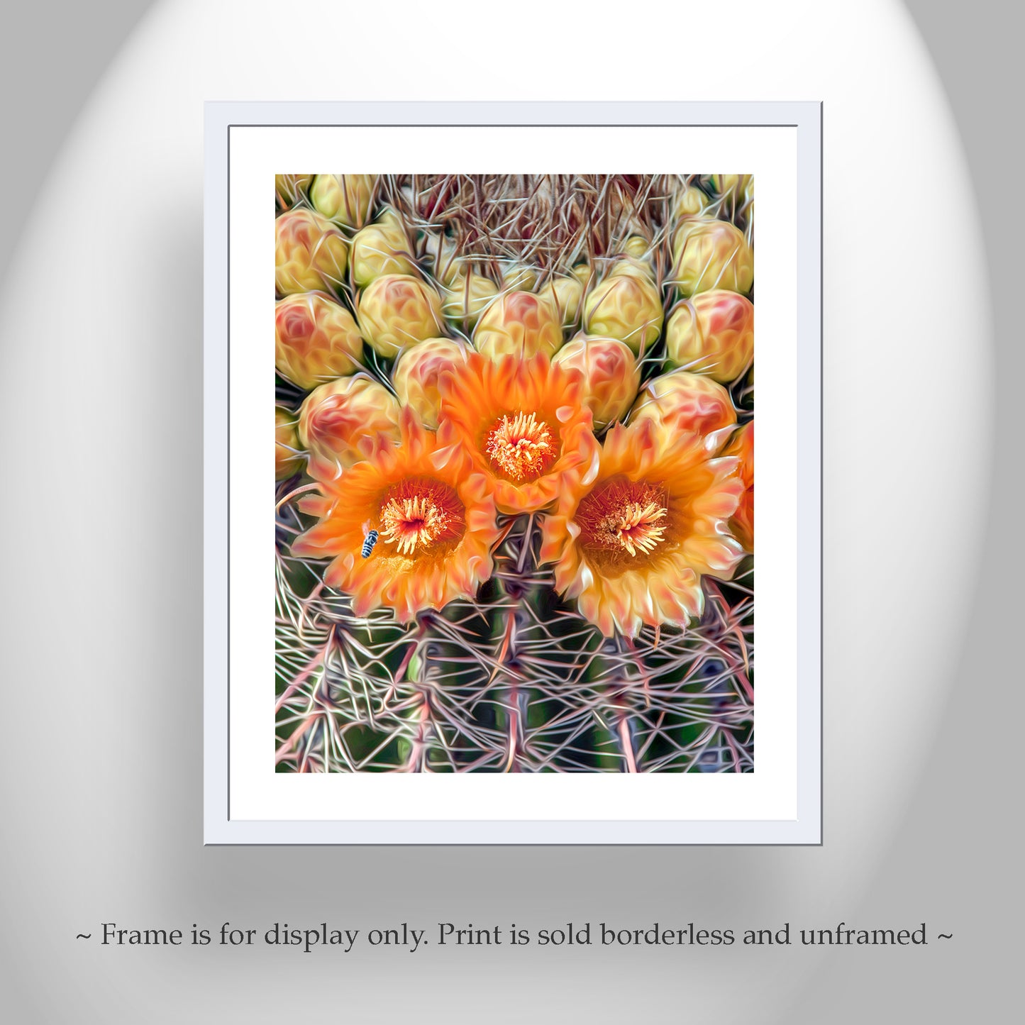 Bee and Cactus Flower Print with Desert Barrel Cactus Wildflowers