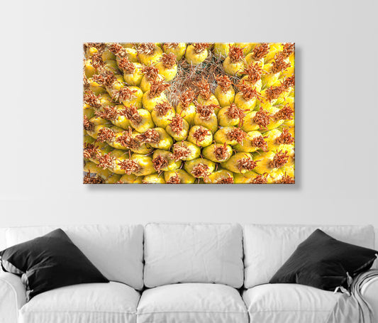 Yellow Cactus Fruit Picture as Bright Vibrant Art Gift from Arizona Desert
