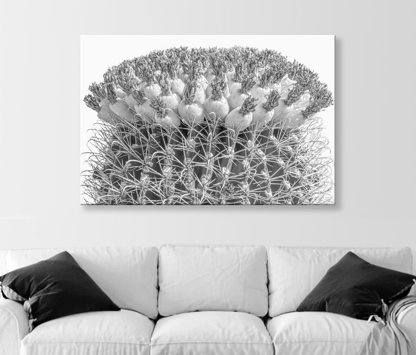 Cactus Decor in Black and White with Barrel Cactus and Tuna Fruit