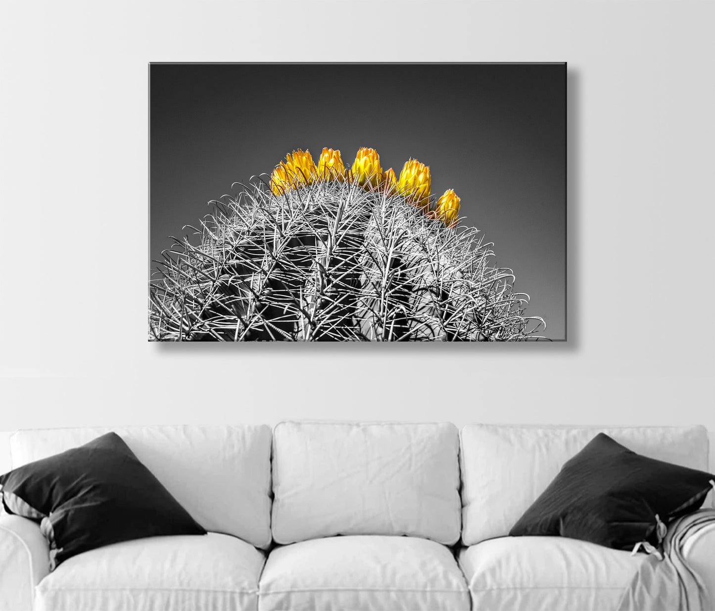 Barrel Cactus Art in Arizona Desert in Black and White | Southwest Decor