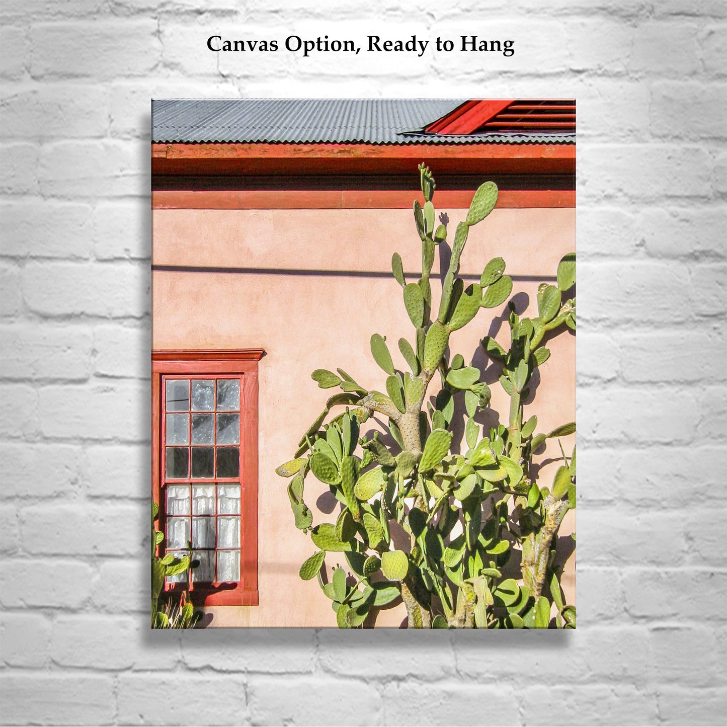 Tucson Barrio Cactus Wall Art | Old Pueblo Adobe Southwest Decor Print